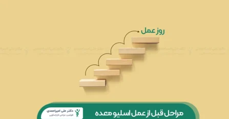 مراحل قبل از اسلیو معده شاخص
